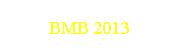 BMB 2013